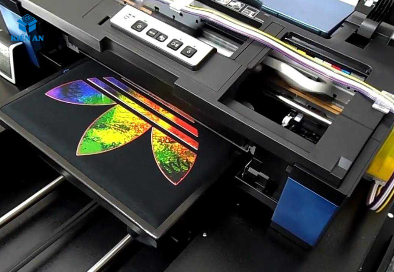 Công Ty TNHH MTV Thương Mại – Dịch Vụ Phi Nhạn AD